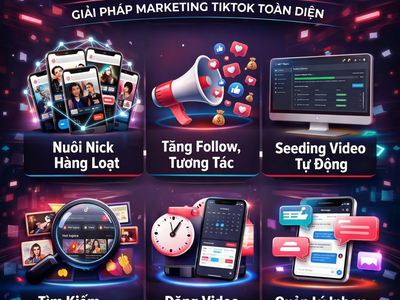 Có đơn đều mỗi ngày từ TikTok 0
