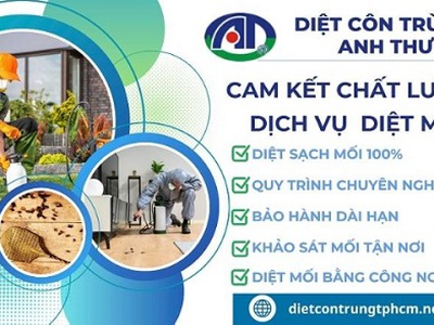Công ty diệt mối uy tín, đảm bảo hiệu quả, giúp tiết kiệm chi phí 0