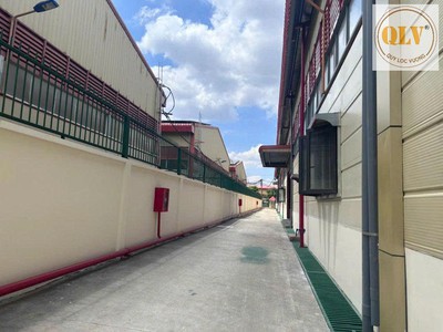 Cho thuê nhà xưởng KCN Phúc Long, Long An 2.859m 4