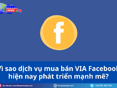 Vì Sao VIA Facebook Trở Thành  Tài Sản Vàng  Trong Kinh Doanh Online 0