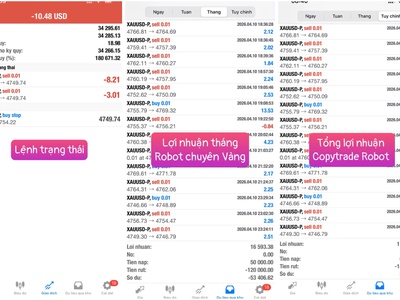 Copytrade Robot Vàng 0