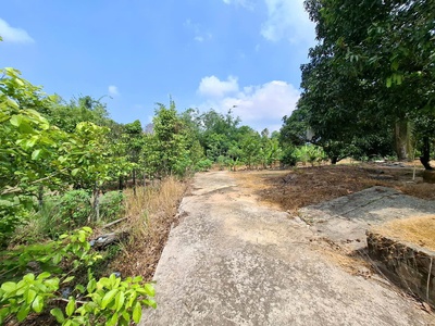 Bán gấp đất vườn khu tượng, phú quốc, thích hợp làm homestay, farmstay hay khu nghỉ dưỡng sinh thái 0