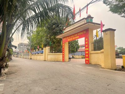 100m đất  thượng trì -  ô diên - hà nội. đường thông ô tô tải ngủ trong nhà 2