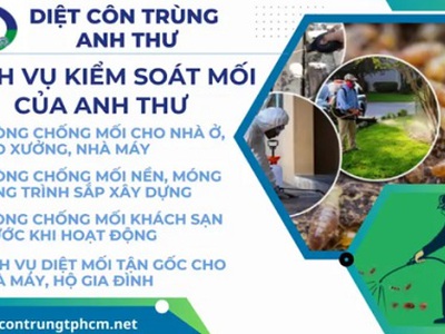 Tối ưu chi phí với dịch vụ diệt mối giá rẻ tphcm phù hợp với từng nhu cầu khác nhau 0