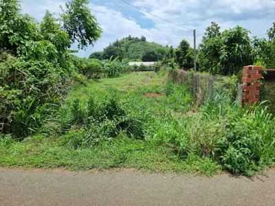 Cần bán 1000m  đất mặt tiền đường nhựa   long phước, tp. bà rịa  p. tam long, tp. hcm 0