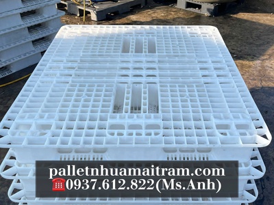  Cung Cấp Pallet Nhựa Màu Trắng  - Đẹp Mắt, Sạch Sẽ, Nhìn Là  Say Nắng    0