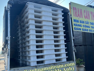  Cung Cấp Pallet Nhựa Màu Trắng  - Đẹp Mắt, Sạch Sẽ, Nhìn Là  Say Nắng    4