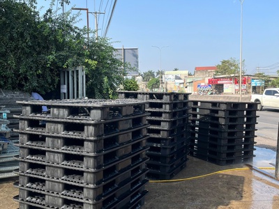  Cung Cấp Pallet Nhựa Màu Trắng  - Đẹp Mắt, Sạch Sẽ, Nhìn Là  Say Nắng    8