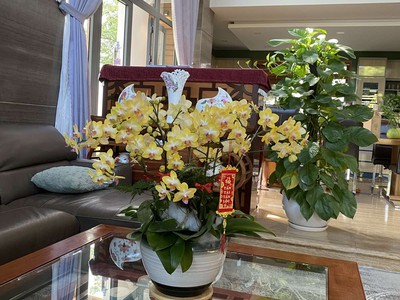 Bán biệt thự sân vườn villa park quận quận9 2