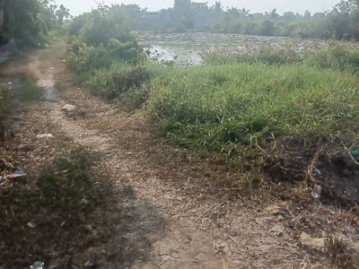 Đất cln- đỗ văn dậy - wien kênh sáng - hóc môn 6600m2 cạnh công viên tương lai 27,5 tỷ 4