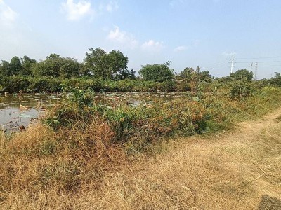 Đất cln- đỗ văn dậy - wien kênh sáng - hóc môn 6600m2 cạnh công viên tương lai 27,5 tỷ 0