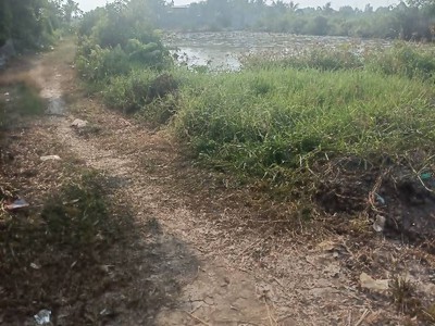 Đất cln- đỗ văn dậy - wien kênh sáng - hóc môn 6600m2 cạnh công viên tương lai 27,5 tỷ 3