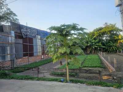 Bán nhanh lô đất đẹp, hẻm xe hơi - giá tốt tại Bình Chánh 0