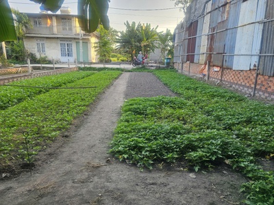 Bán nhanh lô đất đẹp, hẻm xe hơi - giá tốt tại Bình Chánh 1