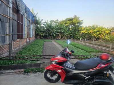 Bán nhanh lô đất đẹp, hẻm xe hơi - giá tốt tại Bình Chánh 2