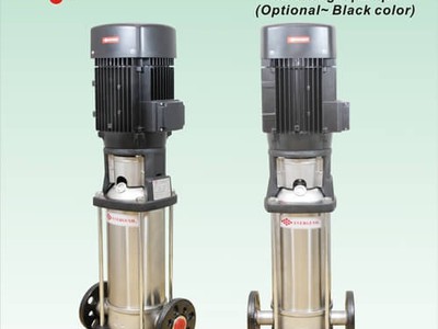 Bơm trục đứng Evergush ECDL 0