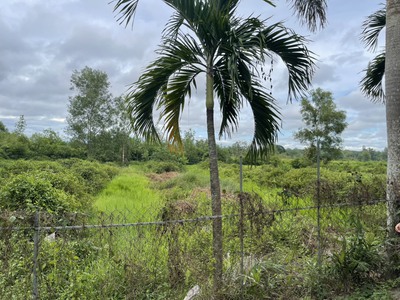 Bán gấp 2000m2 trần văn giàu, phạm văn hai , bình chánh - ful tc  chỉ 82 tỷ 2