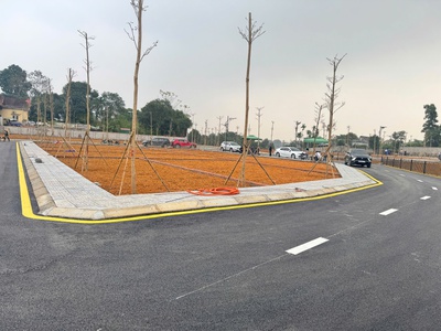 Đất nền hòa lạc giá rẻ 4