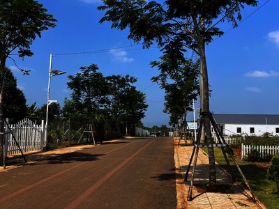 BÁN ĐẤT VÙNG VEN ĐÀ LẠT Di Linh Đầu Tư Giá Tốt 0