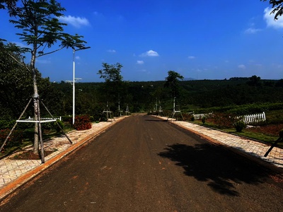 BÁN ĐẤT VÙNG VEN ĐÀ LẠT Di Linh Đầu Tư Giá Tốt 2