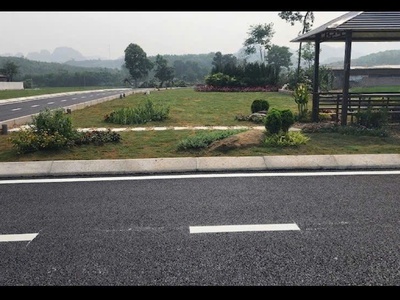 ĐẤT BA HÀNG ĐỒI   THỔ CƯ 100   GIÁ  300TR 4