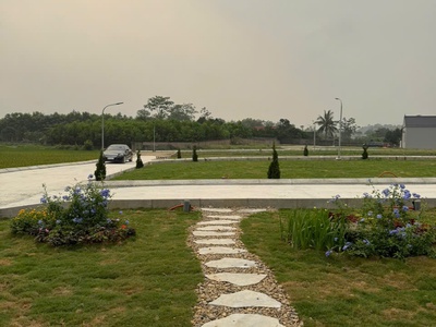 ĐẤT BA HÀNG ĐỒI   THỔ CƯ 100   GIÁ  300TR 5