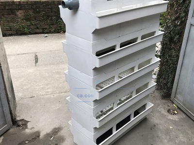 Máy Lọc Hồ Cá Có Thực Sự Quan Trọng Như Bạn Nghĩ 1