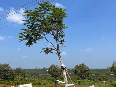 Đất 140 m  Lâm Đồng, mặt tiền đường 12m, gần cao tốc 6