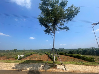  ĐẤT DI LINH GIÁ TỐT   DIỆN TÍCH ĐẸP   Đầu Tư - Định Cư Đều Tốt  2