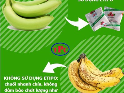 Gói chống chín cho trái cây 3