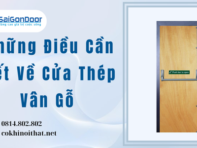 Những Điều Cần Biết Về Cửa Thép Vân Gỗ 1