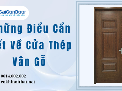 Những Điều Cần Biết Về Cửa Thép Vân Gỗ 0
