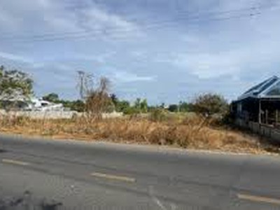 Xuân thới sơn hóc môn 3320m2 đất ngang 74 x45 - giá 93 tỷ tl 1