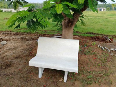 Ghế đá liền lưng Bình Dương 2