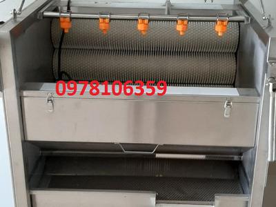 Máy rửa rau củ, máy rửa khoai lang-khoai môn, máy rửa chà vỏ 1