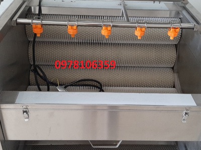Máy rửa rau củ, máy rửa khoai lang-khoai môn, máy rửa chà vỏ 2