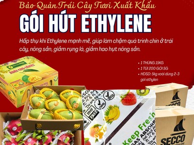 Gói Bảo Quản Trái Cây - Gói hút khí Ethylene Secco 5g 0