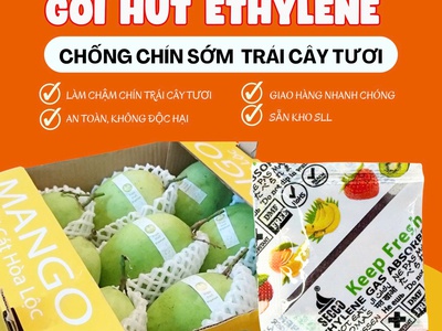 Gói Hút Khí Ethylene   Giải Pháp Bảo Quản Trái Cây Xuất Khẩu Hiệu Quả 0