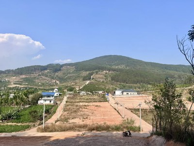 Đất 2 mặt tiền thung lũng thông xanh , không gian sống trọn cảm xúc 0
