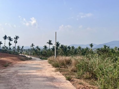 Đất 2 mặt tiền thung lũng thông xanh , không gian sống trọn cảm xúc 1