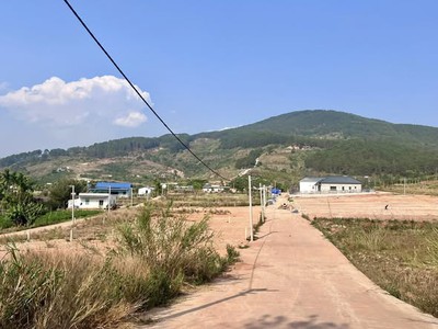 Đất 2 mặt tiền thung lũng thông xanh , không gian sống trọn cảm xúc 3