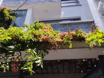Nhà 11/78 Nguyễn Hữu Tiến, 5.2m.13.5m 69m2, 3 tầng, giá 7.5 tỷ 5