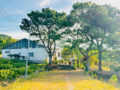 725tr - đón đầu nút giao cao tốc -  đất thổ cư ven đà lạt chỉ còn tính bằng ngày 1