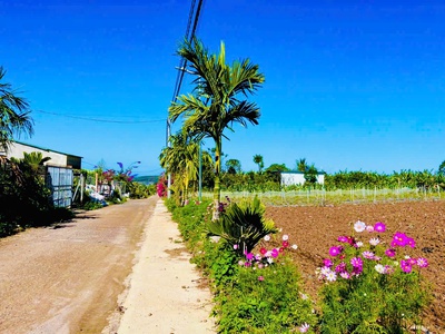 725tr - đón đầu nút giao cao tốc -  đất thổ cư ven đà lạt chỉ còn tính bằng ngày 4