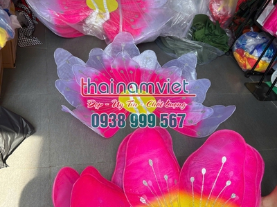 Bán hoa múa cầm tay  tại TPHCM 1