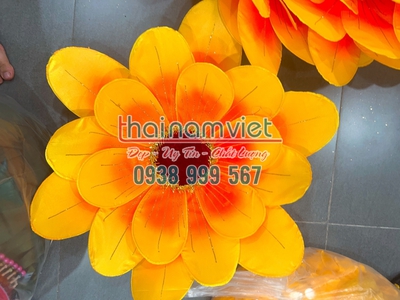 Bán hoa múa cầm tay  tại TPHCM 6