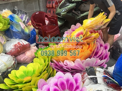 Bán hoa múa cầm tay  tại TPHCM 7