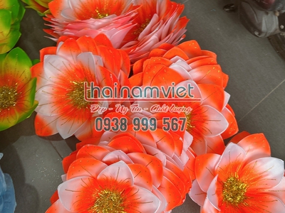 Bán hoa múa cầm tay  tại TPHCM 8