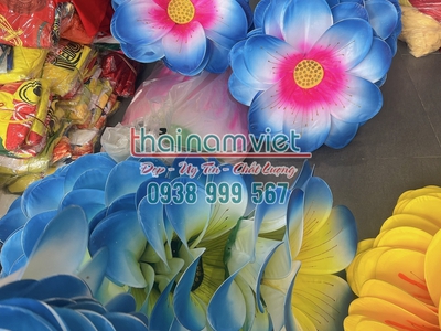 Bán hoa múa cầm tay  tại TPHCM 10