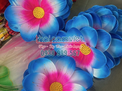 Bán hoa múa cầm tay  tại TPHCM 11